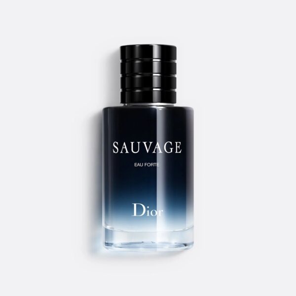 Starboy - An Impression of Dior Sauvage